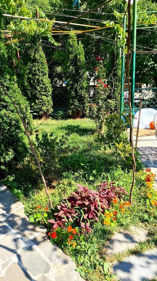 Guest House Casa 보르조미 외부 사진